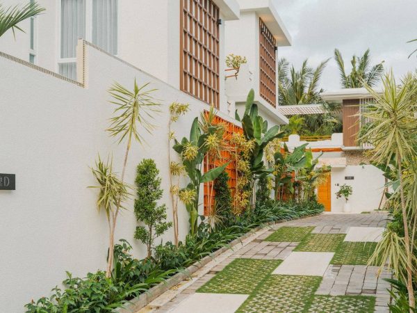 541435449_1476289170158676_4967518699653634144_n