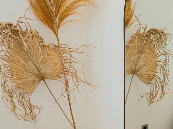 541748969_1477267913394135_6878409658765807308_n