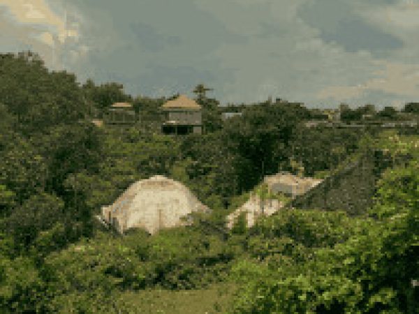 Screen Shot 2025-03-01 at 3.52.47 AM_3_11zon