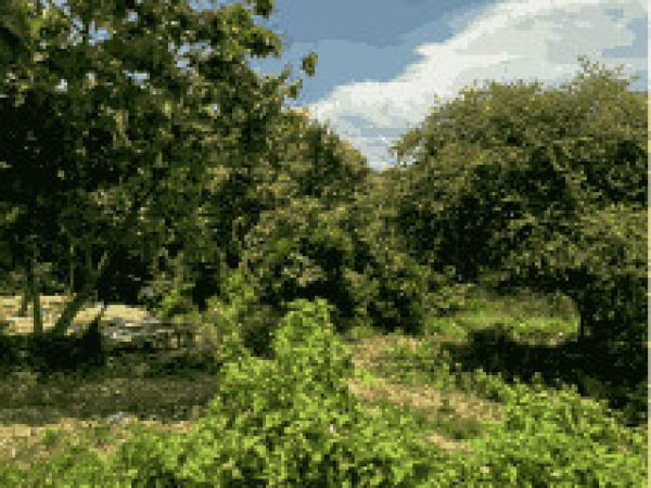 Screen Shot 2025-03-01 at 3.53.17 AM_5_11zon