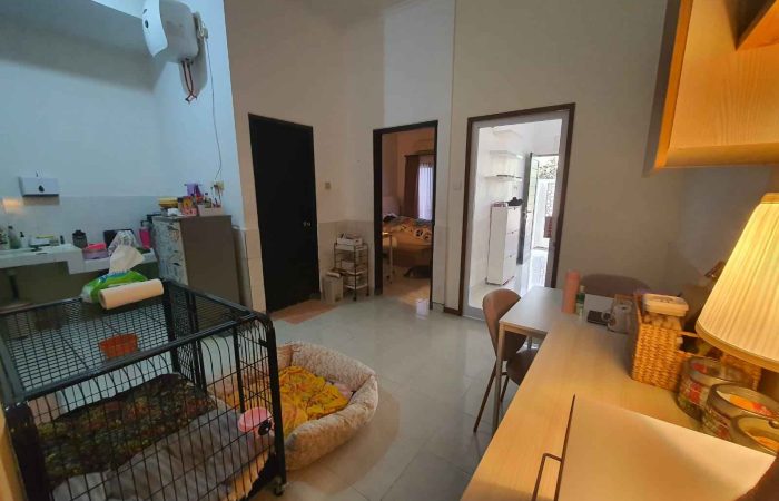 WhatsApp Image 2024-12-15 at 7.26.29 PM (2)_3_11zon