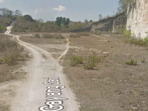 WhatsApp Image 2025-02-27 at 7.12.03 PM (1)_4_11zon