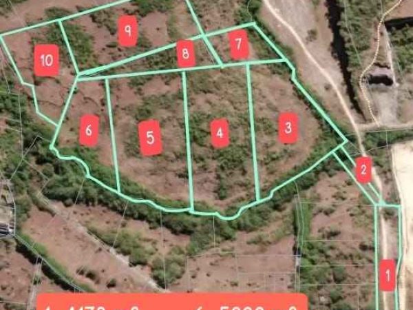 WhatsApp Image 2025-02-27 at 7.12.03 PM_5_11zon