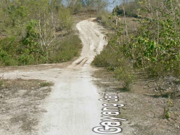 WhatsApp Image 2025-02-27 at 7.12.04 PM (2)_2_11zon