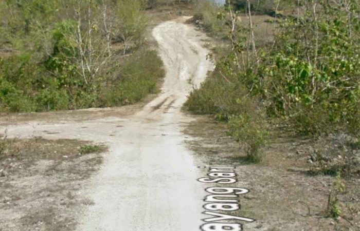 WhatsApp Image 2025-02-27 at 7.12.04 PM (2)_2_11zon