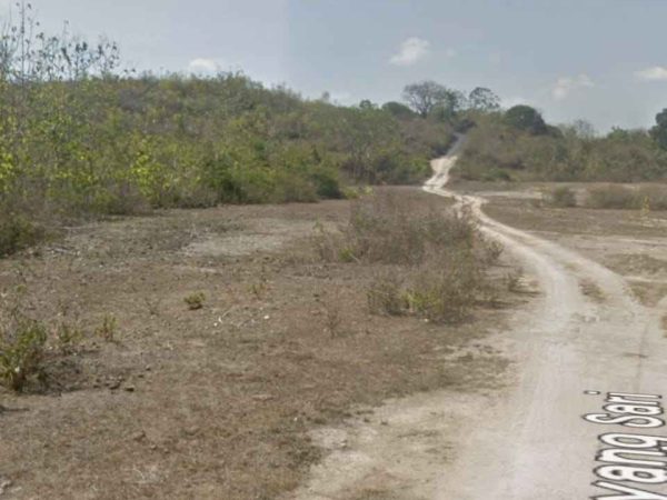 WhatsApp Image 2025-02-27 at 7.12.05 PM_7_11zon