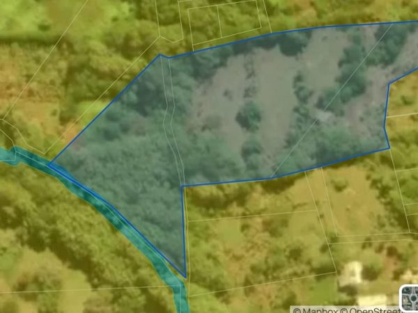 WhatsApp Image 2025-03-03 at 8.20.57 AM