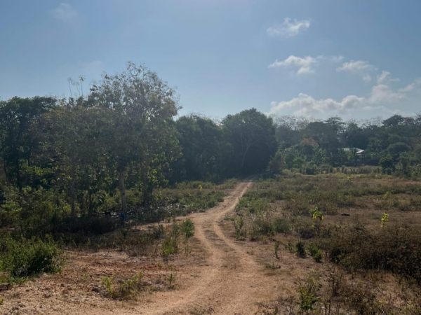 WhatsApp Image 2025-03-03 at 8.20.58 AM