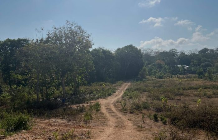 WhatsApp Image 2025-03-03 at 8.20.58 AM