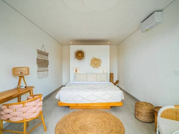 WhatsApp Image 2025-03-25 at 4.59.37 PM (1)