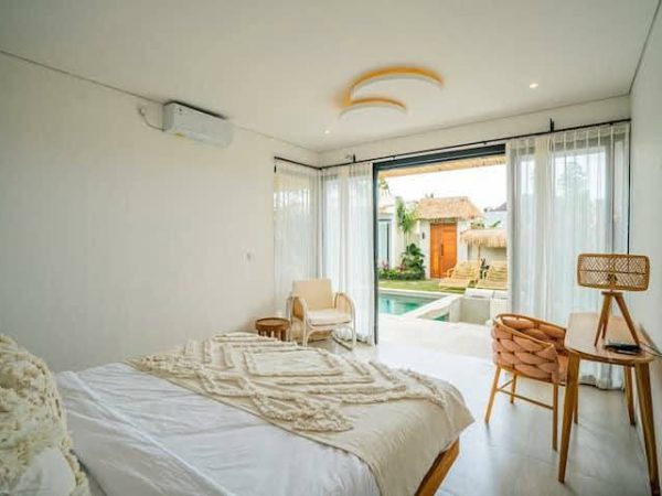 WhatsApp Image 2025-03-25 at 4.59.37 PM (3)