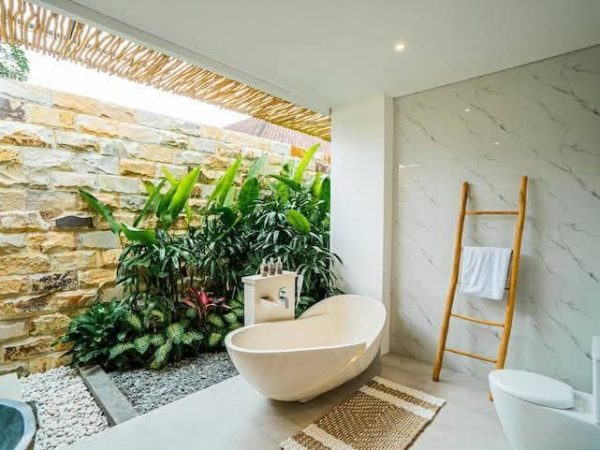 WhatsApp Image 2025-03-25 at 4.59.39 PM (2)