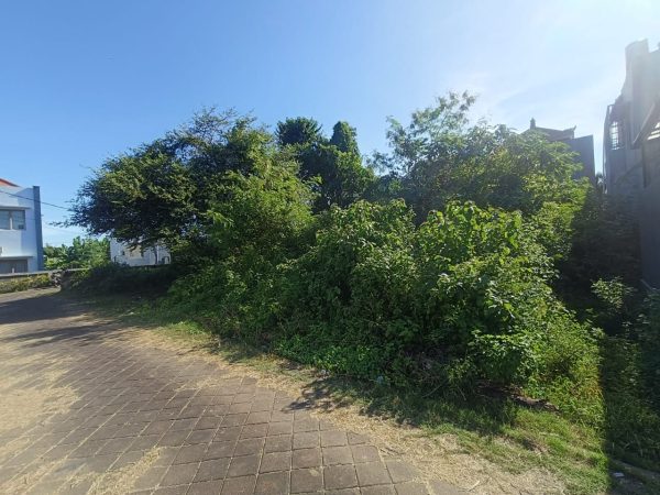 WhatsApp Image 2025-04-05 at 5.07.07 PM (1)