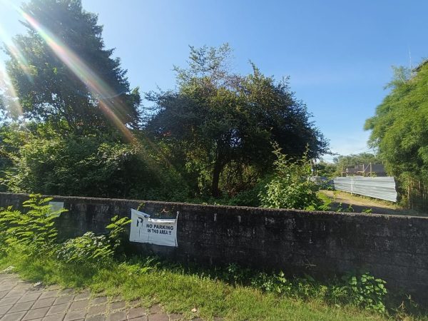 WhatsApp Image 2025-04-05 at 5.07.08 PM (2)