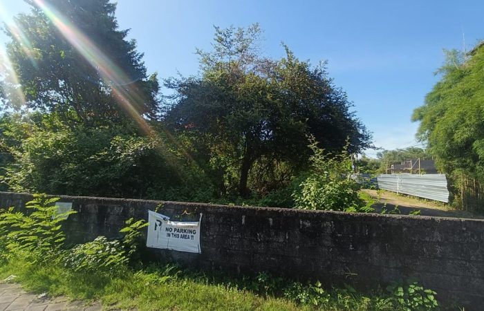 WhatsApp Image 2025-04-05 at 5.07.08 PM (2)