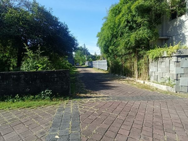 WhatsApp Image 2025-04-05 at 5.07.08 PM