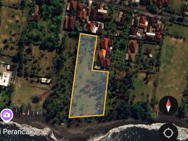 WhatsApp Image 2025-05-22 at 12.55.53 PM