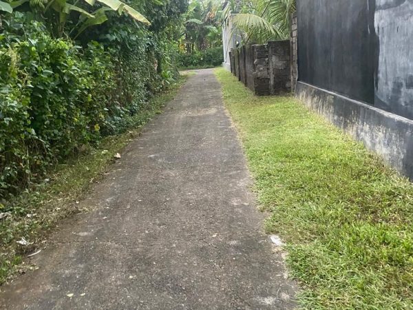 WhatsApp Image 2025-05-22 at 12.55.54 PM