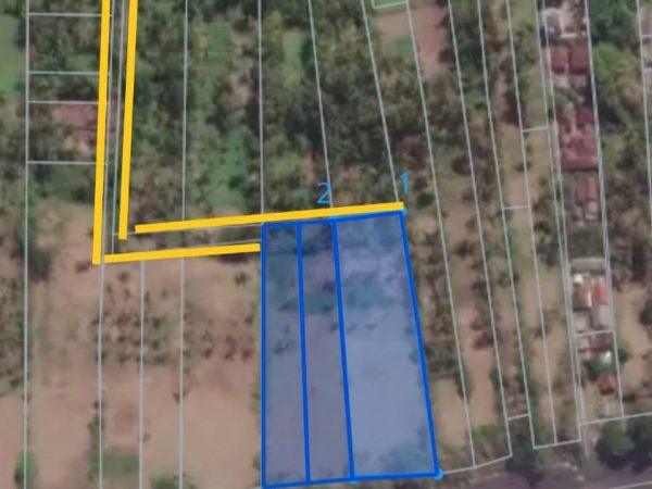 WhatsApp Image 2025-05-22 at 12.56.43 PM