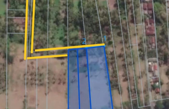 WhatsApp Image 2025-05-22 at 12.56.43 PM