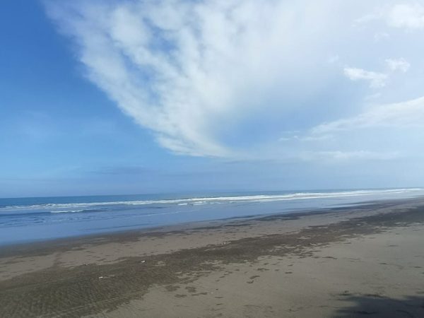 WhatsApp Image 2025-05-26 at 7.56.41 AM