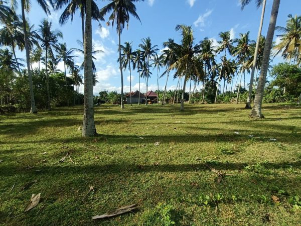 WhatsApp Image 2025-05-26 at 7.58.36 AM