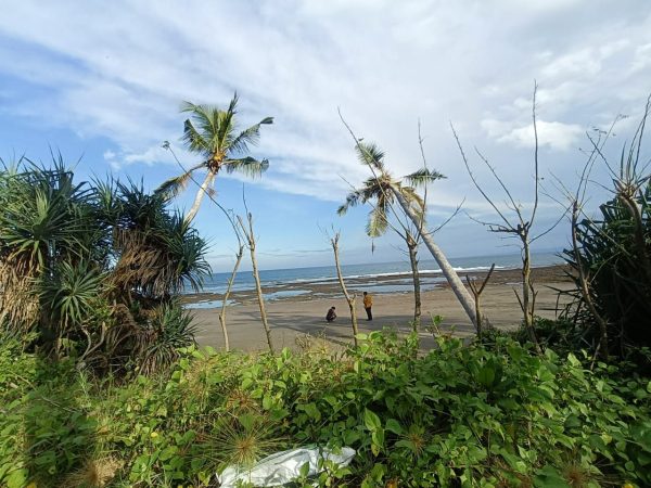 WhatsApp Image 2025-05-26 at 7.58.39 AM