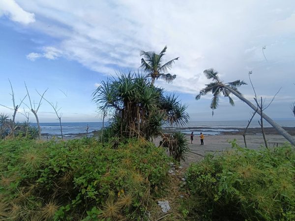 WhatsApp Image 2025-05-26 at 7.59.47 AM