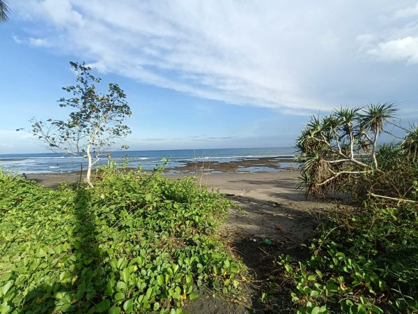 WhatsApp Image 2025-05-26 at 7.59.48 AM