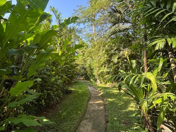 WhatsApp Image 2025-05-28 at 8.40.12 AM (1)