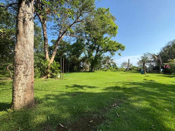 WhatsApp Image 2025-05-28 at 8.40.12 AM (2)