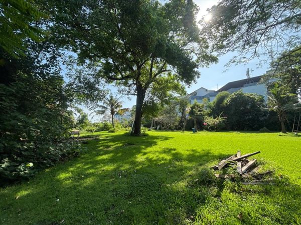 WhatsApp Image 2025-05-28 at 8.40.14 AM