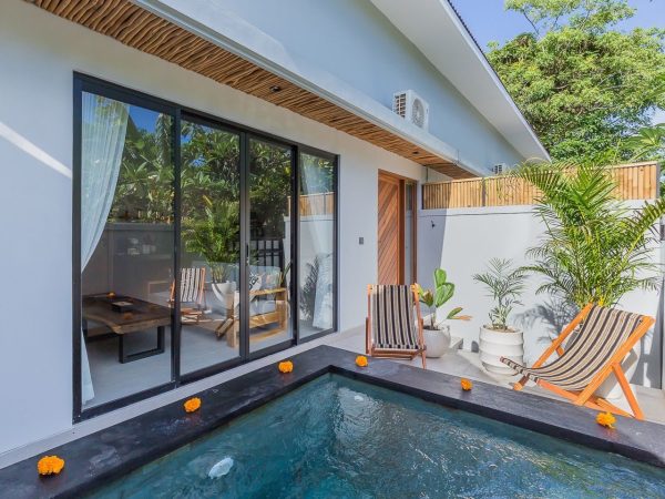 WhatsApp Image 2026-01-15 at 10.19.50 PM (1)