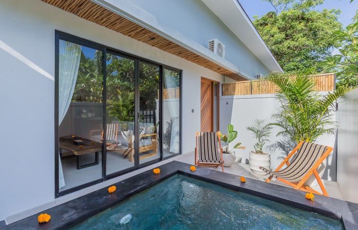 WhatsApp Image 2026-01-15 at 10.19.50 PM (1)