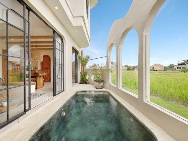 WhatsApp Image 2026-01-19 at 5.37.24 PM (2)