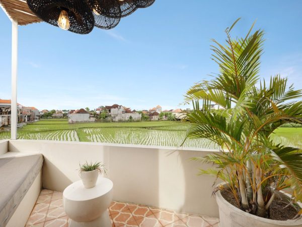 WhatsApp Image 2026-01-19 at 5.37.25 PM (1)