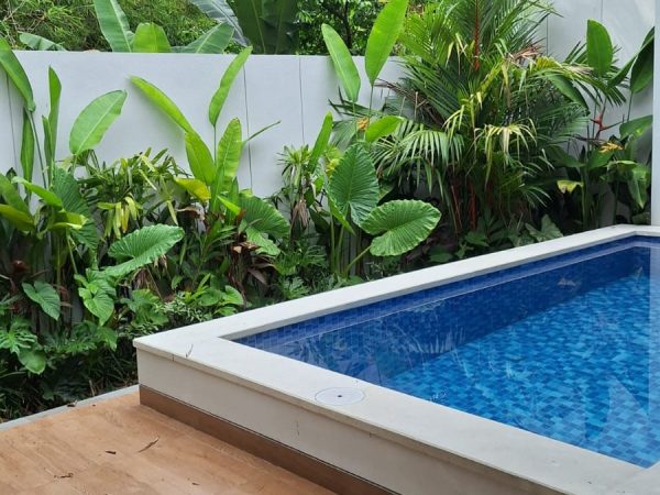 WhatsApp Image 2026-01-19 at 9.43.49 PM (1)