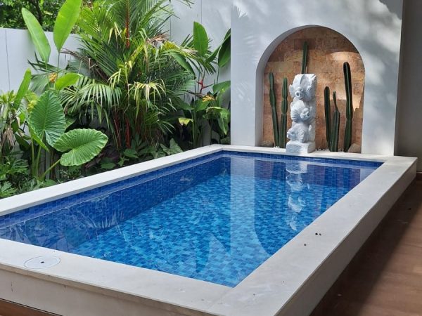 WhatsApp Image 2026-01-19 at 9.43.53 PM