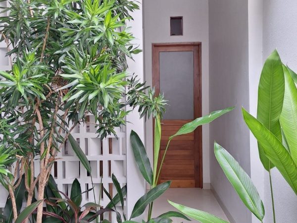 WhatsApp Image 2026-01-19 at 9.43.55 PM (1)