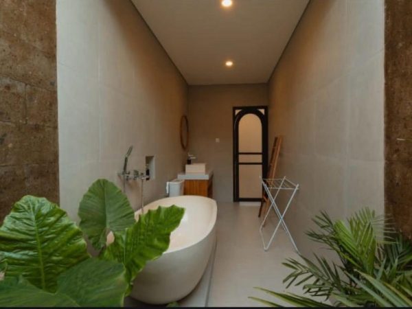 WhatsApp Image 2026-01-24 at 7.51.25 PM (1)