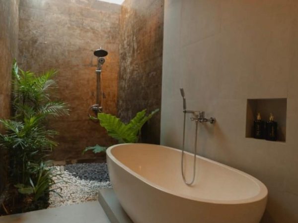 WhatsApp Image 2026-01-24 at 7.51.25 PM