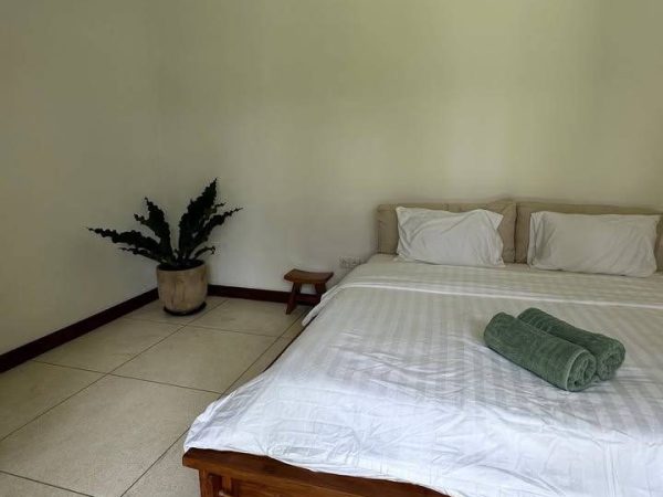 photo_6183970316410276231_y